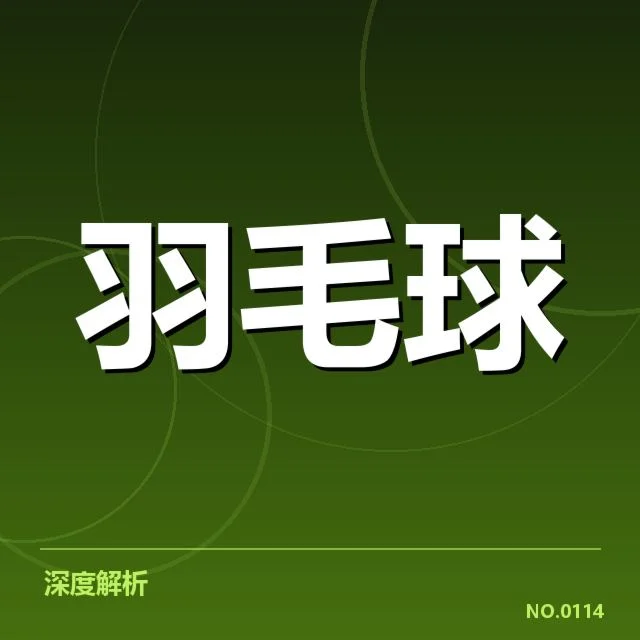 李宗伟羽毛球胜负记录：运动员表现起伏原因探究