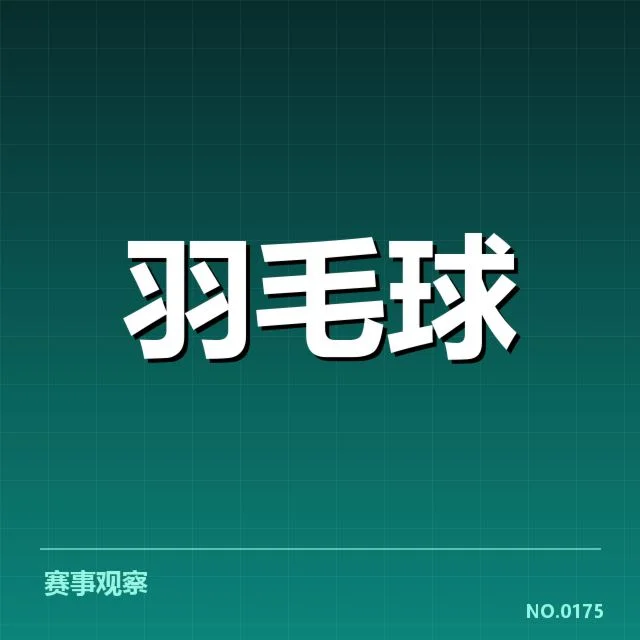 中国羽毛球公开赛决赛：赛事组织与球员表现如何